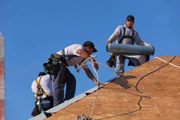 Best Storm Damage Roof Repair  in Shenandoah, TX