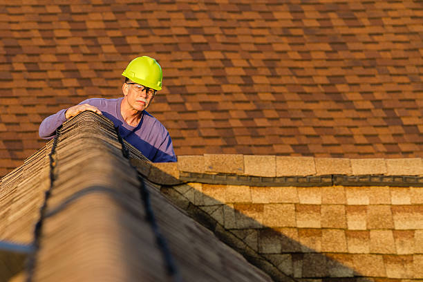 Best Roof Maintenance Services  in Shenandoah, TX